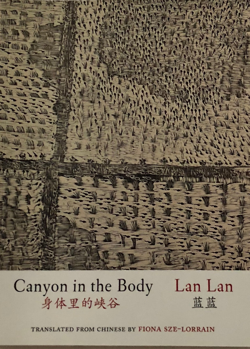 Lan Lan 藍藍 - Canyon in the Body 身体里的峡谷 / Book
