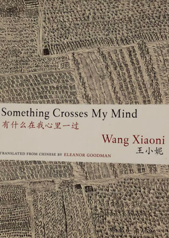 Wang Xiaoni 王小妮 - Something Crosses My  Mind 有什么在我心里一过 / Simplified Chinese and English 简英 / Book