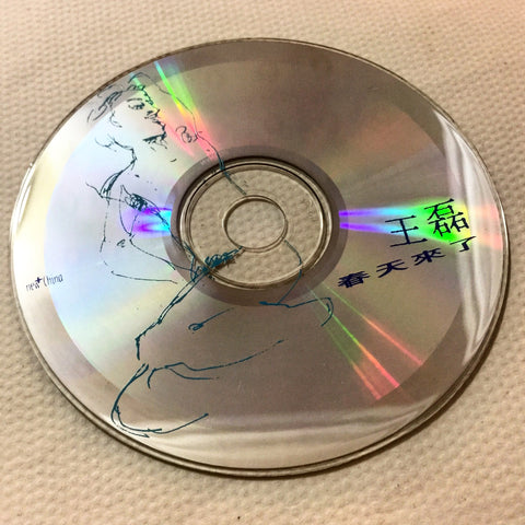 Wang Lei 王磊 -春天来了 / New China / CD